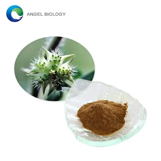 How to Safely Use Tribulus Extract Powder for Bodybuilding: Dosage and Tips